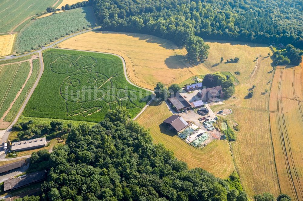 Selm von oben - Irrgarten - Labyrinth mit den Umrissen eines Globus auf einem Feld im Ortsteil Cappenberg in Selm im Bundesland Nordrhein-Westfalen, Deutschland