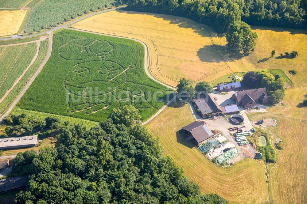 Selm aus der Vogelperspektive: Irrgarten - Labyrinth mit den Umrissen eines Globus auf einem Feld im Ortsteil Cappenberg in Selm im Bundesland Nordrhein-Westfalen, Deutschland