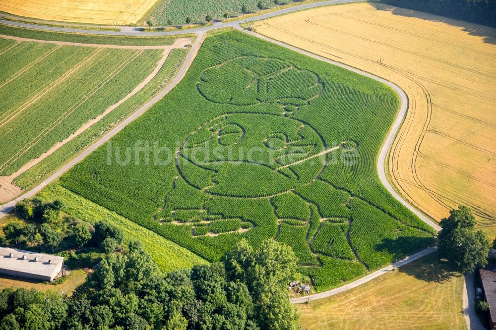 Luftbild Selm - Irrgarten - Labyrinth mit den Umrissen eines Globus auf einem Feld im Ortsteil Cappenberg in Selm im Bundesland Nordrhein-Westfalen, Deutschland