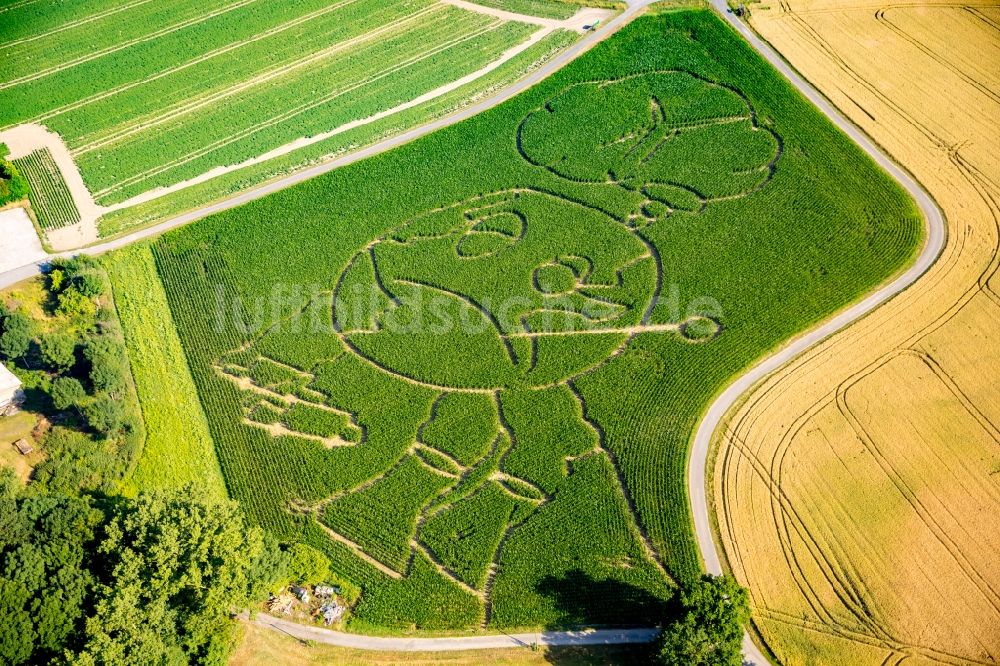 Selm von oben - Irrgarten - Labyrinth mit den Umrissen eines Globus auf einem Feld im Ortsteil Cappenberg in Selm im Bundesland Nordrhein-Westfalen, Deutschland