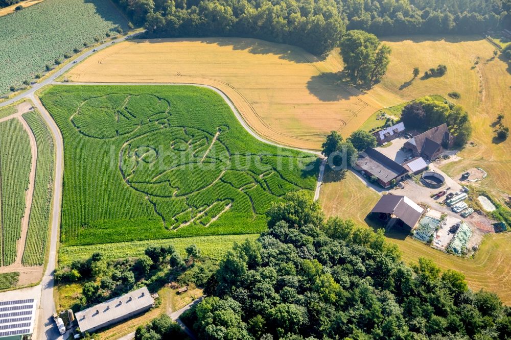 Selm aus der Vogelperspektive: Irrgarten - Labyrinth mit den Umrissen eines Globus auf einem Feld im Ortsteil Cappenberg in Selm im Bundesland Nordrhein-Westfalen, Deutschland