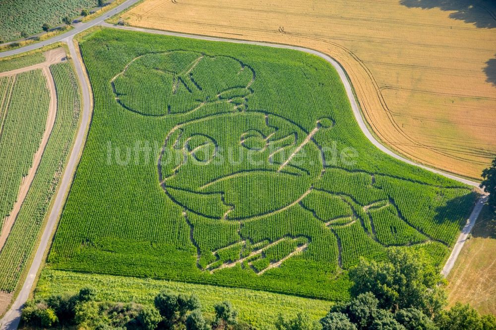 Luftbild Selm - Irrgarten - Labyrinth mit den Umrissen eines Globus auf einem Feld im Ortsteil Cappenberg in Selm im Bundesland Nordrhein-Westfalen, Deutschland