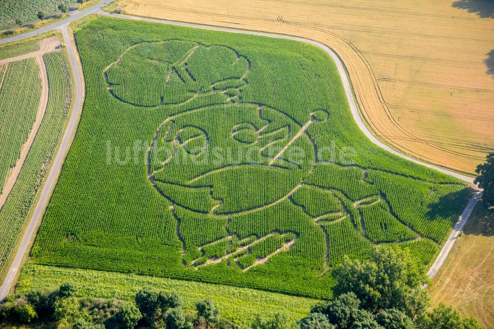 Luftaufnahme Selm - Irrgarten - Labyrinth mit den Umrissen eines Globus auf einem Feld im Ortsteil Cappenberg in Selm im Bundesland Nordrhein-Westfalen, Deutschland