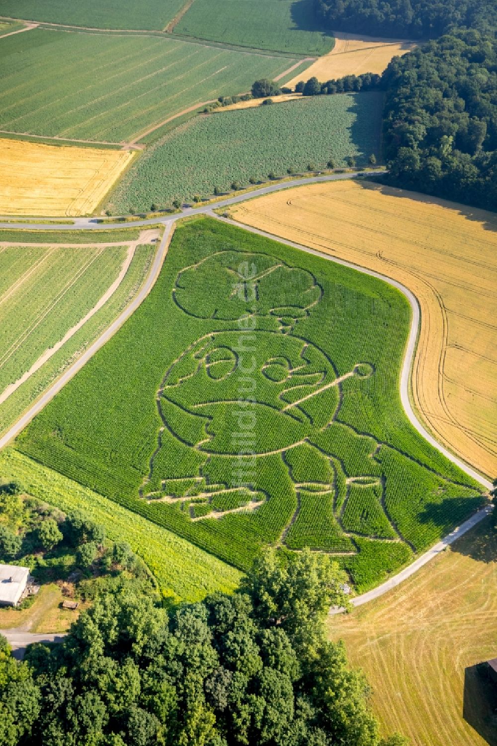 Selm aus der Vogelperspektive: Irrgarten - Labyrinth mit den Umrissen eines Globus auf einem Feld im Ortsteil Cappenberg in Selm im Bundesland Nordrhein-Westfalen, Deutschland