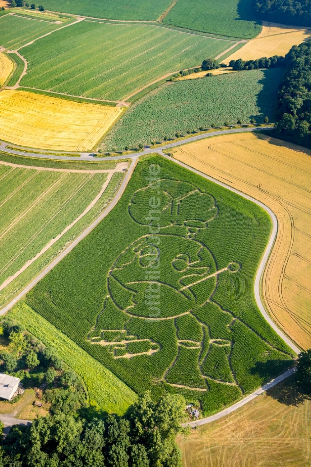 Luftbild Selm - Irrgarten - Labyrinth mit den Umrissen eines Globus auf einem Feld im Ortsteil Cappenberg in Selm im Bundesland Nordrhein-Westfalen, Deutschland