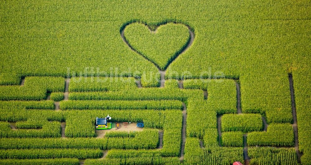 Luftaufnahme Herten - Irrgarten - Labyrinth mit den Umrissen einer Herz- Form auf einem Feld in Herten im Bundesland Nordrhein-Westfalen