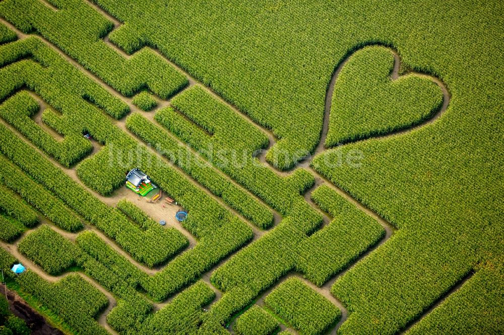 Herten aus der Vogelperspektive: Irrgarten - Labyrinth mit den Umrissen einer Herz- Form auf einem Feld in Herten im Bundesland Nordrhein-Westfalen