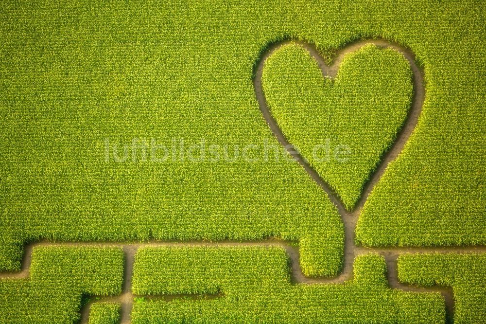 Luftbild Herten - Irrgarten - Labyrinth mit den Umrissen einer Herz- Form auf einem Feld in Herten im Bundesland Nordrhein-Westfalen