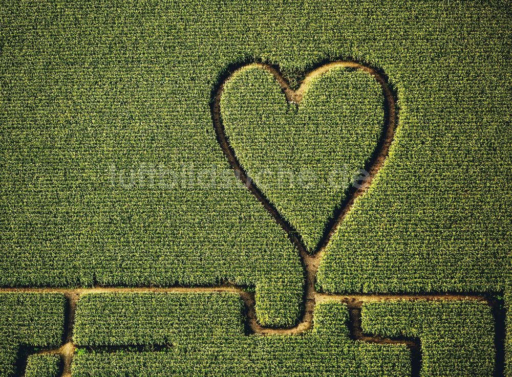 Herten aus der Vogelperspektive: Irrgarten - Labyrinth mit den Umrissen einer Herz- Form auf einem Feld in Herten im Bundesland Nordrhein-Westfalen