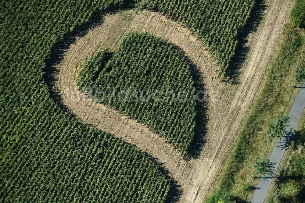 Luftaufnahme Trebsen/Mulde - Irrgarten - Labyrinth mit den Umrissen in Herz- Form auf einem Feld in Trebsen/Mulde im Bundesland Sachsen