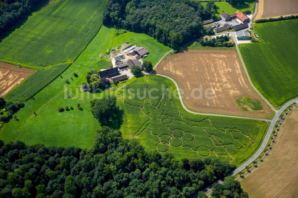 Luftbild Selm - Irrgarten - Labyrinth mit den Umrissen der Olympiaringe in Selm im Bundesland Nordrhein-Westfalen