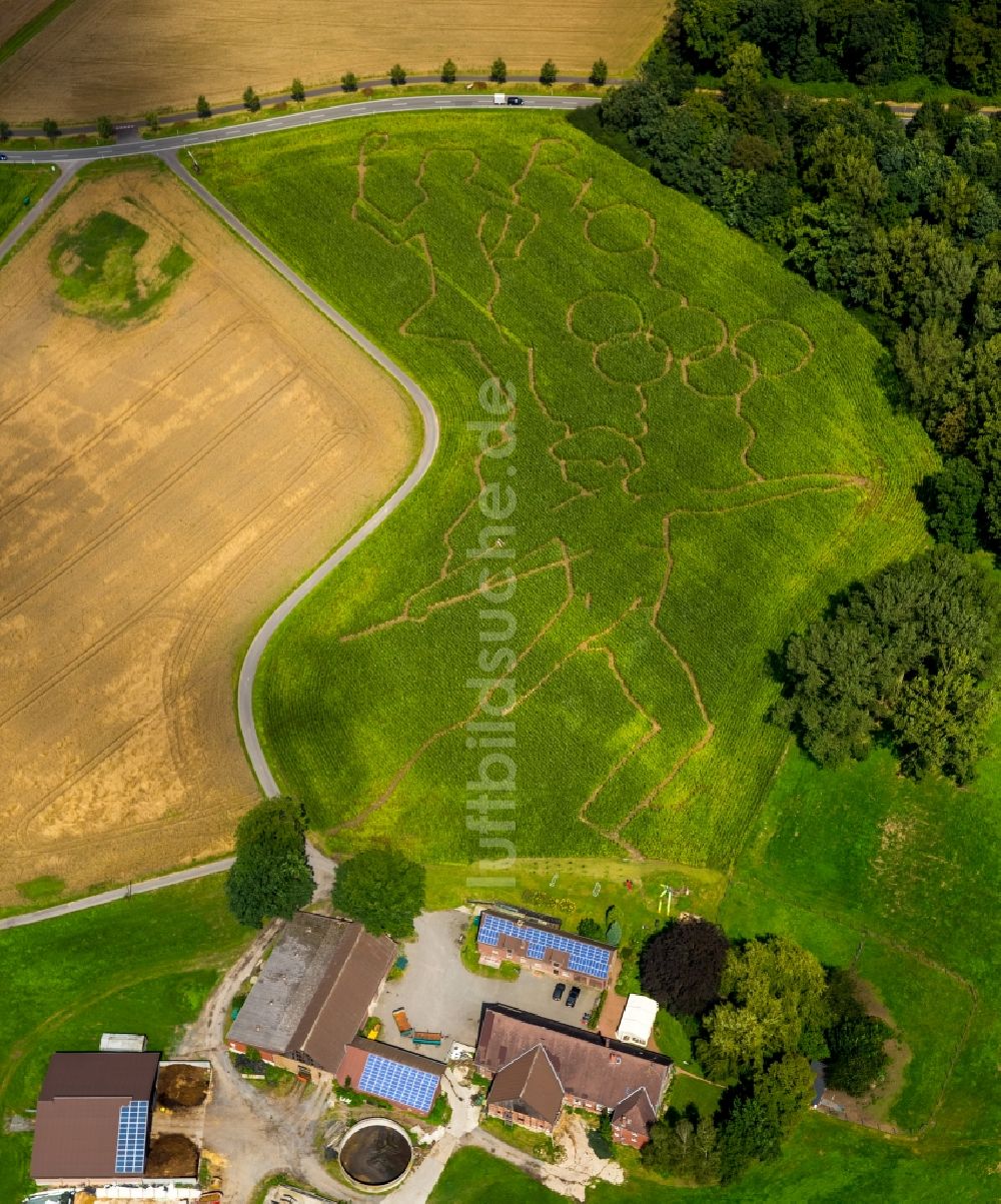 Selm von oben - Irrgarten - Labyrinth mit den Umrissen der Olympiaringe in Selm im Bundesland Nordrhein-Westfalen