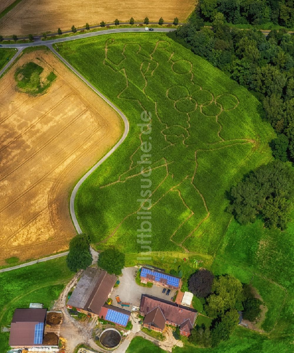 Selm aus der Vogelperspektive: Irrgarten - Labyrinth mit den Umrissen der Olympiaringe in Selm im Bundesland Nordrhein-Westfalen