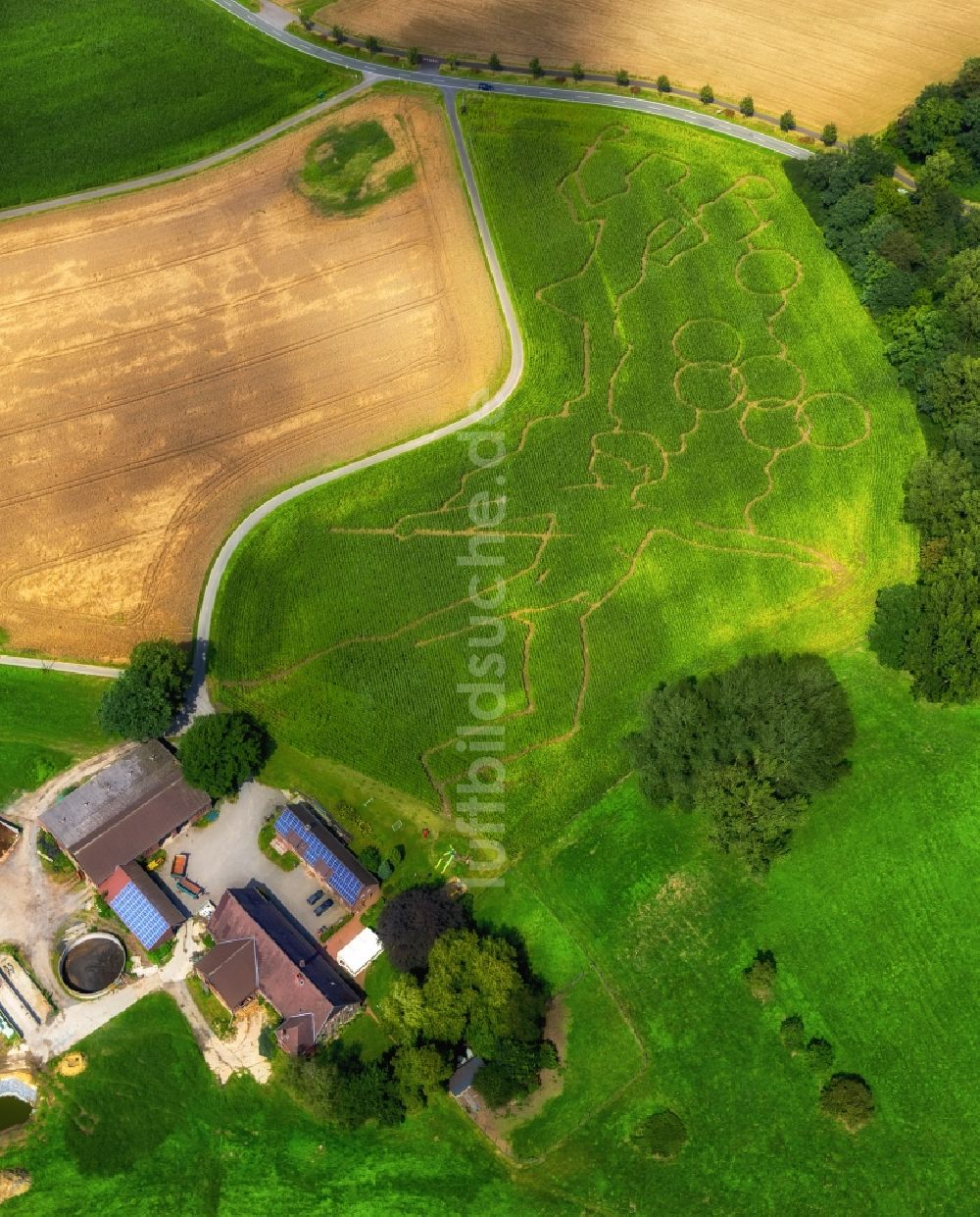 Luftbild Selm - Irrgarten - Labyrinth mit den Umrissen der Olympiaringe in Selm im Bundesland Nordrhein-Westfalen