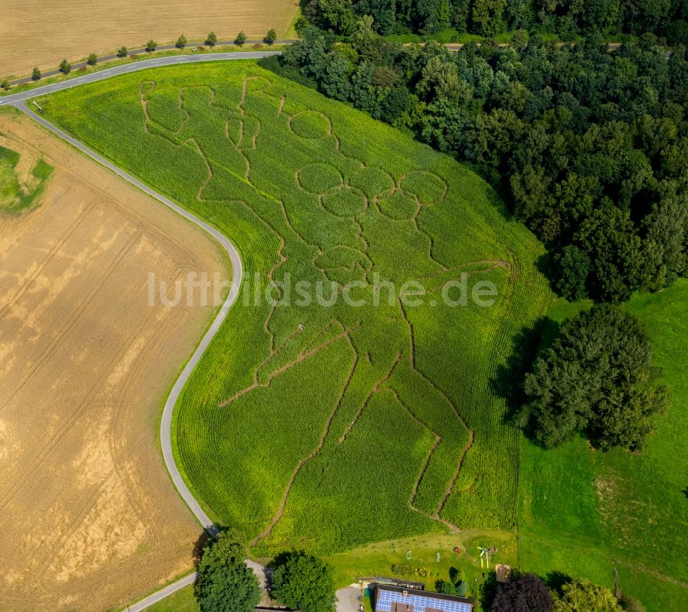 Selm von oben - Irrgarten - Labyrinth mit den Umrissen der Olympiaringe in Selm im Bundesland Nordrhein-Westfalen