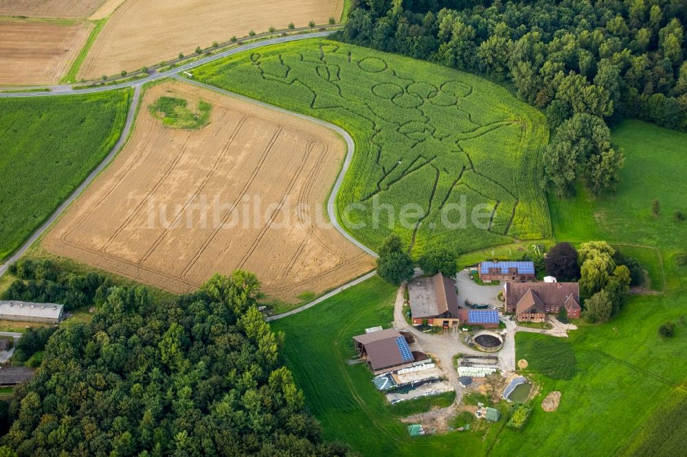 Selm aus der Vogelperspektive: Irrgarten - Labyrinth mit den Umrissen der Olympiaringe in Selm im Bundesland Nordrhein-Westfalen