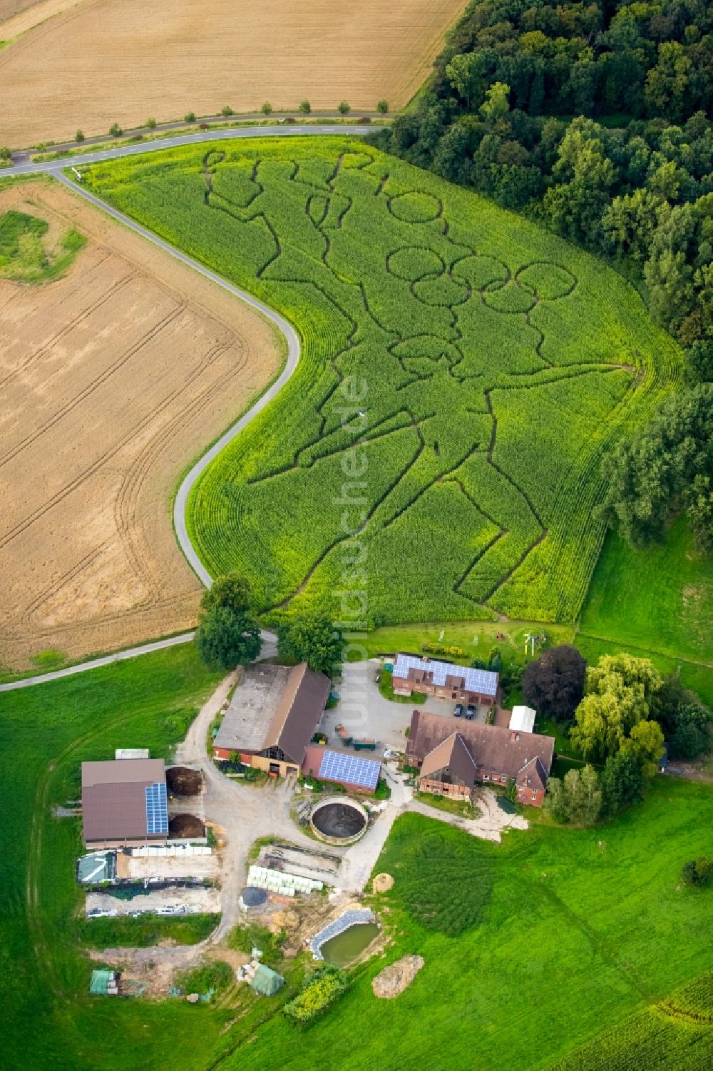 Luftbild Selm - Irrgarten - Labyrinth mit den Umrissen der Olympiaringe in Selm im Bundesland Nordrhein-Westfalen