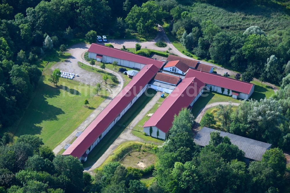 Löwenberger Land von oben - Jagdtrainingszentrum Schloss & Gut Liebenberg in Löwenberger Land im Bundesland Brandenburg, Deutschland