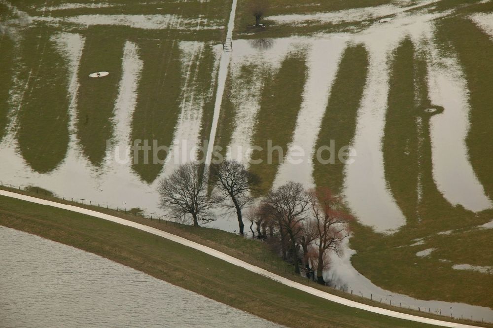 Hitzacker von oben - Jahrhundert - Hochwasser - Überschwemmung am Ufer der Elbe in Hitzacker im Bundesland Niedersachsen