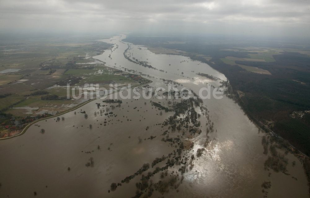 Hitzacker aus der Vogelperspektive: Jahrhundert - Hochwasser - Überschwemmung am Ufer der Elbe in Hitzacker im Bundesland Niedersachsen