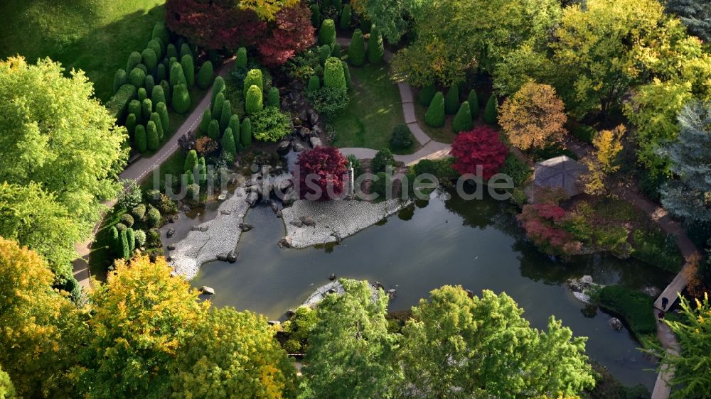 Bonn von oben - Japanischer Garten in der Rheinaue in Bonn im Bundesland Nordrhein-Westfalen, Deutschland