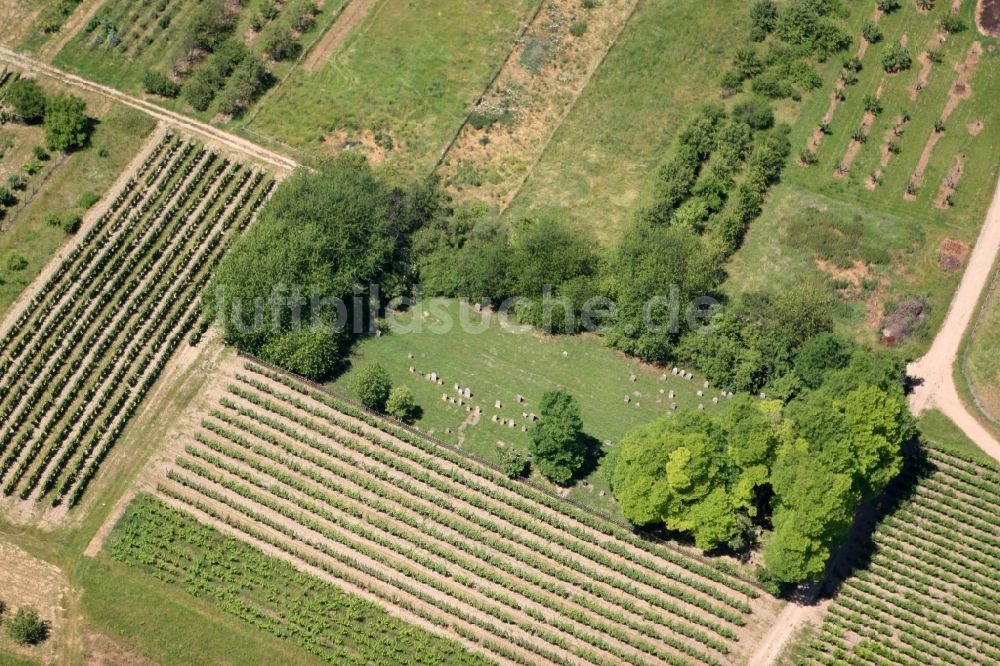 Luftbild Jugenheim in Rheinhessen - Jüdischer Friedhof in Jugenheim in Rheinhessen im Bundesland Rheinland-Pfalz