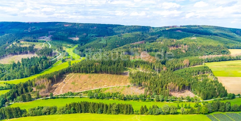 Luftbild Bestwig - Kahle Fläche eines gerodeten Waldbestandes in Bestwig im Bundesland Nordrhein-Westfalen, Deutschland