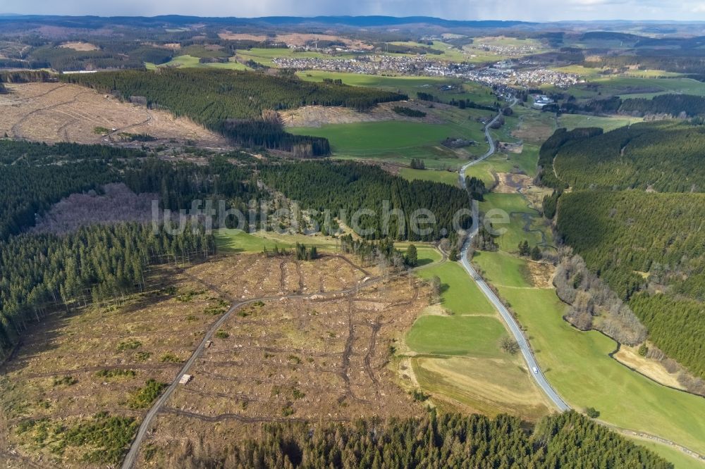 Luftaufnahme Erndtebrück - Kahle Fläche eines gerodeten Waldbestandes in Erndtebrück im Bundesland Nordrhein-Westfalen, Deutschland