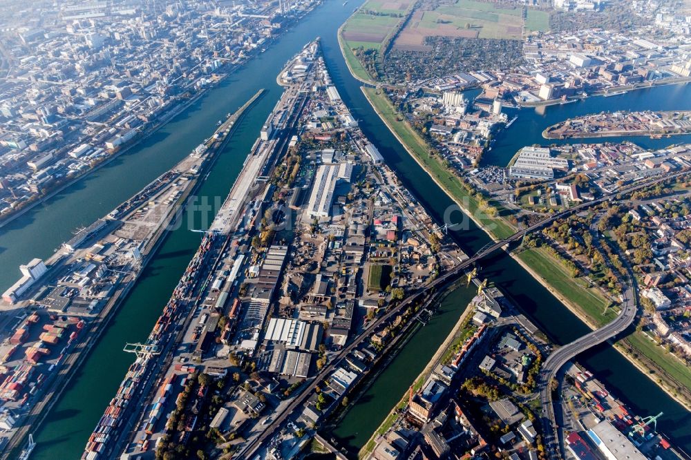 Mannheim aus der Vogelperspektive: Kaianlagen und Schiffs- Anlegestellen am Hafenbecken des Binnenhafen des Rhein im Ortsteil Mühlauhafen in Mannheim im Bundesland Baden-Württemberg, Deutschland