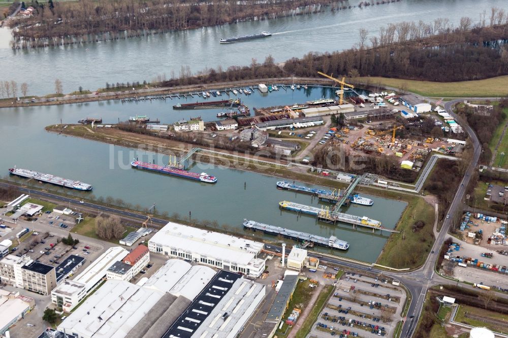 Speyer von oben - Kaianlagen und Schiffs- Anlegestellen am Hafenbecken des Neuen Hafen am Rhein in Speyer im Bundesland Rheinland-Pfalz, Deutschland