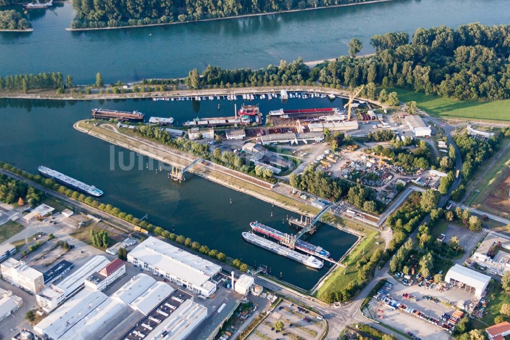 Luftaufnahme Speyer - Kaianlagen und Schiffs- Anlegestellen am Hafenbecken des Neuen Hafen am Rhein in Speyer im Bundesland Rheinland-Pfalz, Deutschland