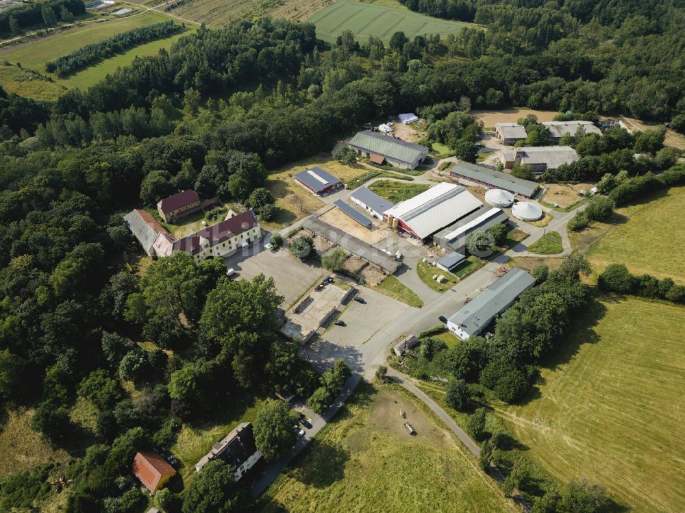 Halsbrücke aus der Vogelperspektive: Kanzleilehngut Halsbrücke im Bundesland Sachsen, Deutschland