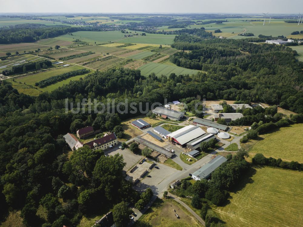 Luftbild Halsbrücke - Kanzleilehngut Halsbrücke im Bundesland Sachsen, Deutschland