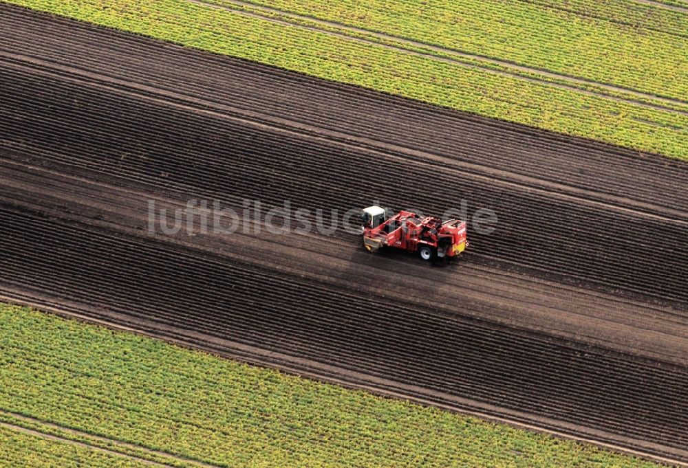 Luftbild Nottleben - Kartoffelernte auf einem Feld in Nottleben in Thüringen