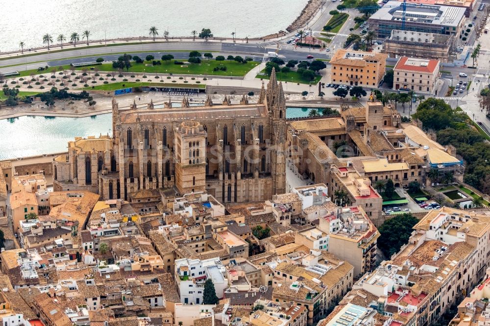 Luftaufnahme Palma - Kathedrale am Plaça de la Seu in Palma in Balearische Insel Malorca, Spanien