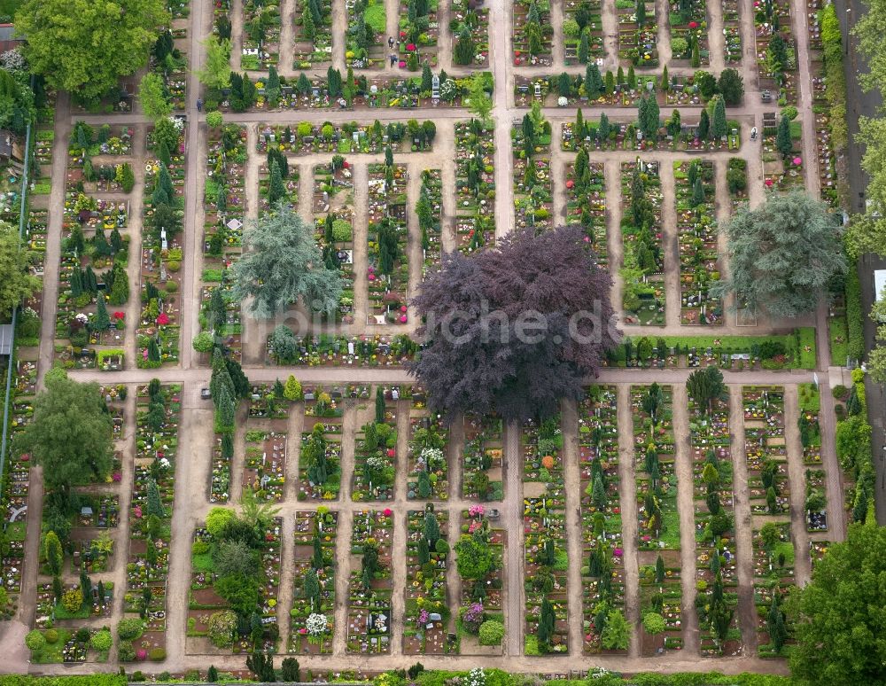 Luftaufnahme Oberhausen - Katholischer Marien - Friedhof in der Lipperheidstraße Ecke Schenkendorfstraße in Oberhausen im Bundesland Nordrhein-Westfalen