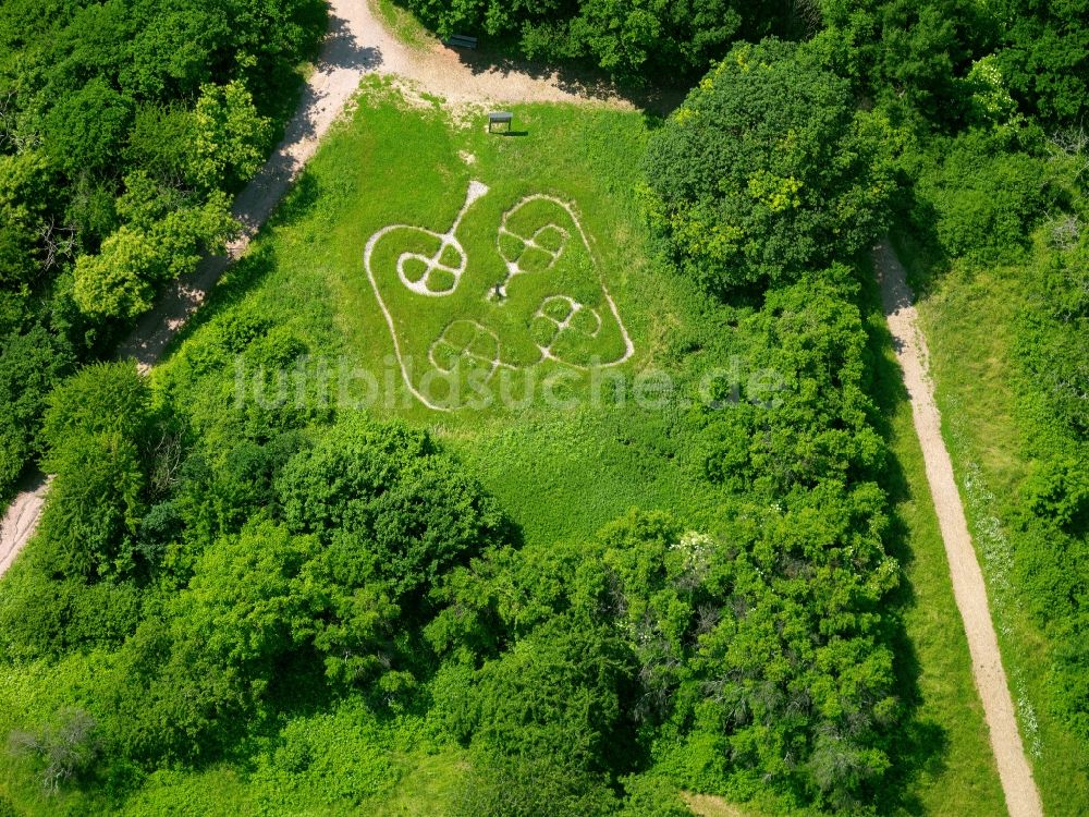 Luftaufnahme Steinbach am Donnersberg - Keltengarten in Steinbach