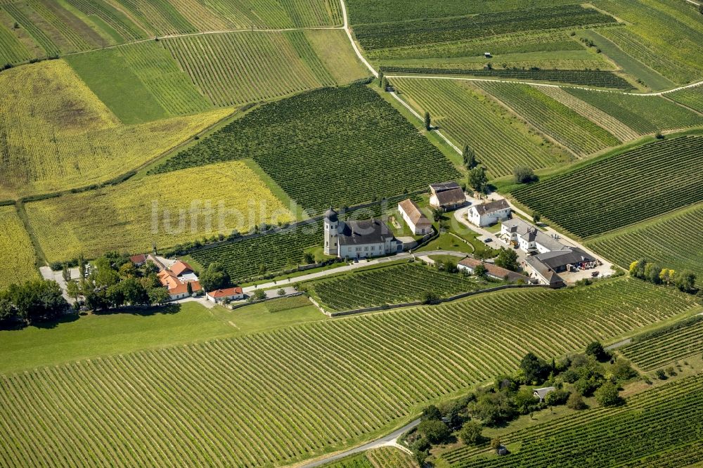 Luftaufnahme Guntramsdorf - Kirche und Weingärten mit Klostergasthaus Thallern des Stiftes Heiligenkreuz in Guntramsdorf in Niederösterreich in Österreich