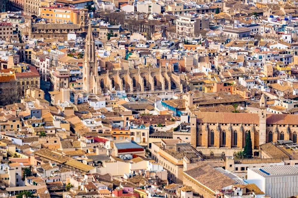 Palma aus der Vogelperspektive: Kirchen Iglesia de Santa Eulalia (links) und Convent de Sant Francesc in der Altstadt in Palma in Balearische Insel Mallorca, Spanien