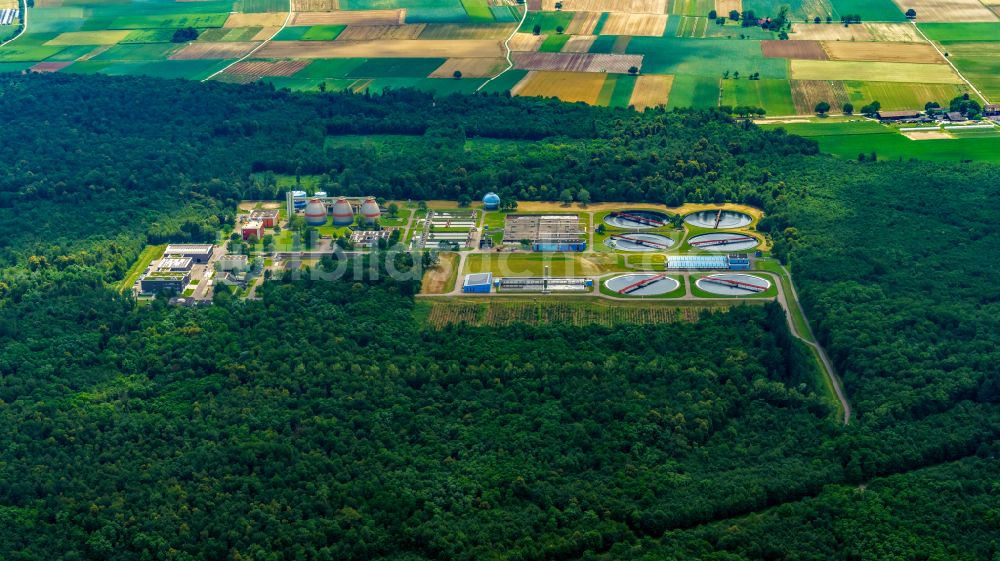 Forchheim von oben - Klarwerk- Becken und Reinigungsstufen Abwasserzweckverband Breisgauer Bucht in Forchheim im Bundesland Baden-Württemberg, Deutschland