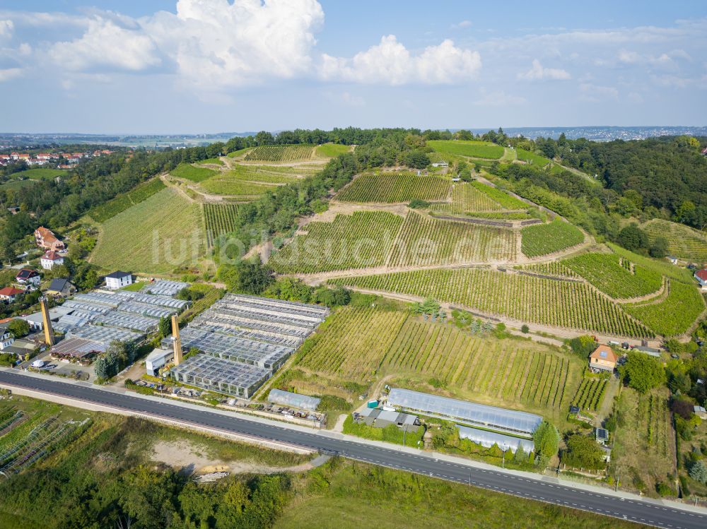 Meißen aus der Vogelperspektive: Klausenberg im Spaargebirge in Meißen im Bundesland Sachsen, Deutschland