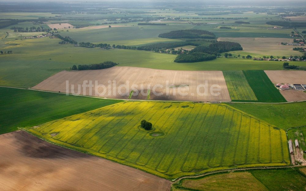 Luftaufnahme Bollewick - Kleine Baumgruppe in Bollewick im Bundesland Mecklenburg-Vorpommern