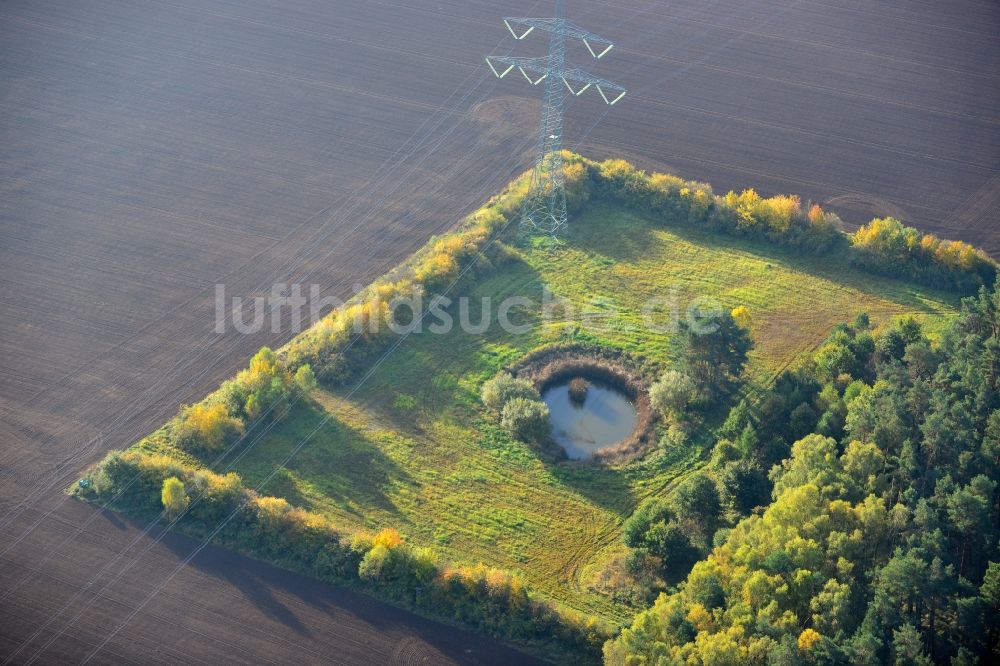 Ellersell aus der Vogelperspektive: Kleine Oase auf einer Wiese in einem umgepflügtem Feld in Ellersell in Sachsen-Anhalt