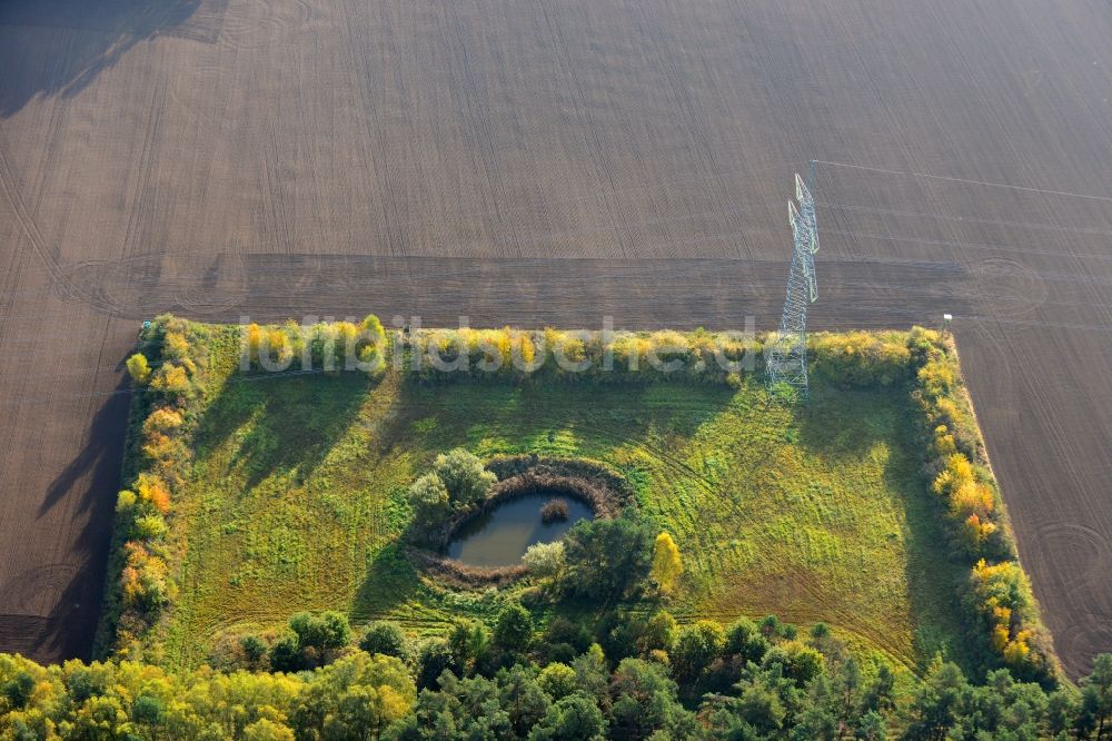 Luftbild Ellersell - Kleine Oase auf einer Wiese in einem umgepflügtem Feld in Ellersell in Sachsen-Anhalt