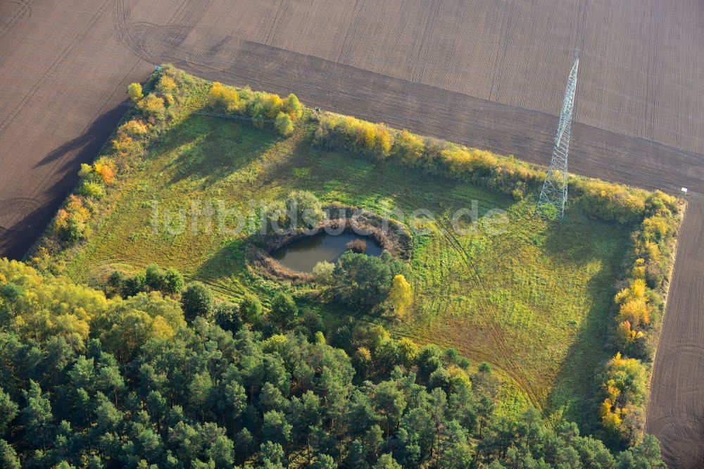 Luftaufnahme Ellersell - Kleine Oase auf einer Wiese in einem umgepflügtem Feld in Ellersell in Sachsen-Anhalt