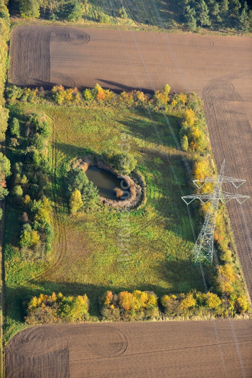 Ellersell von oben - Kleine Oase auf einer Wiese in einem umgepflügtem Feld in Ellersell in Sachsen-Anhalt