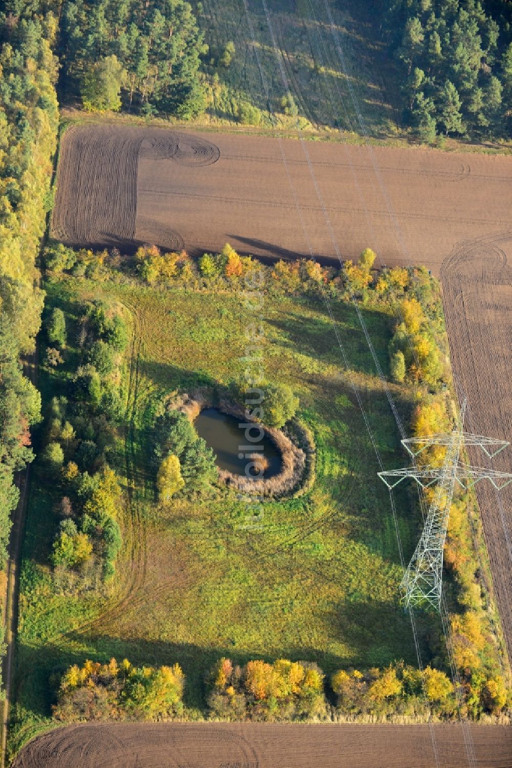 Ellersell aus der Vogelperspektive: Kleine Oase auf einer Wiese in einem umgepflügtem Feld in Ellersell in Sachsen-Anhalt