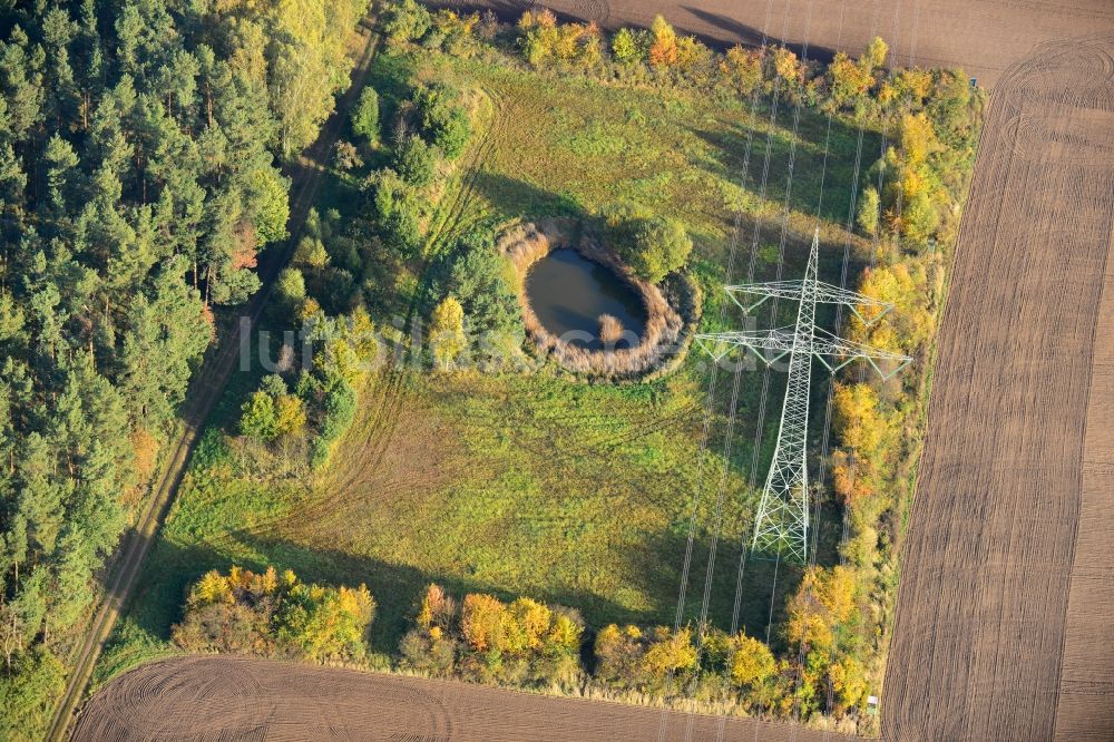 Luftbild Ellersell - Kleine Oase auf einer Wiese in einem umgepflügtem Feld in Ellersell in Sachsen-Anhalt