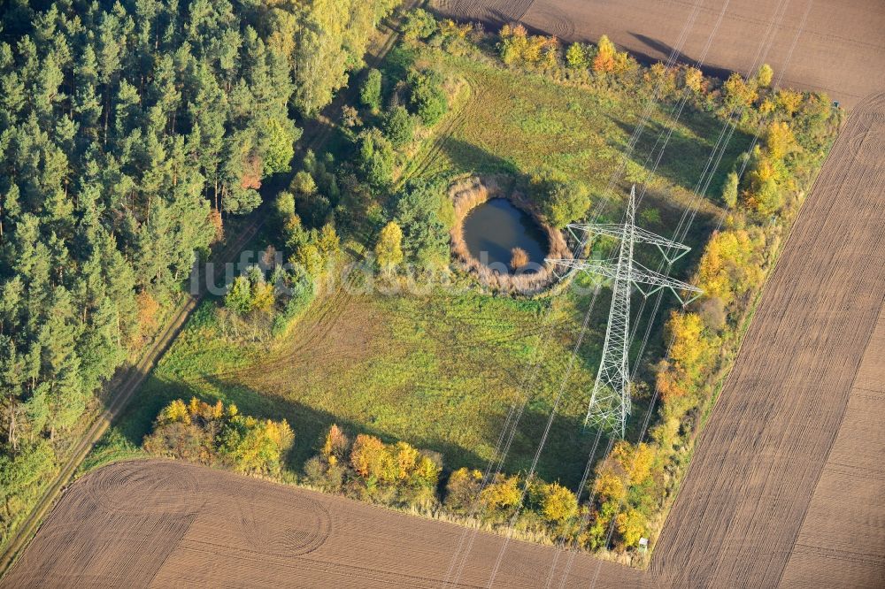 Luftaufnahme Ellersell - Kleine Oase auf einer Wiese in einem umgepflügtem Feld in Ellersell in Sachsen-Anhalt