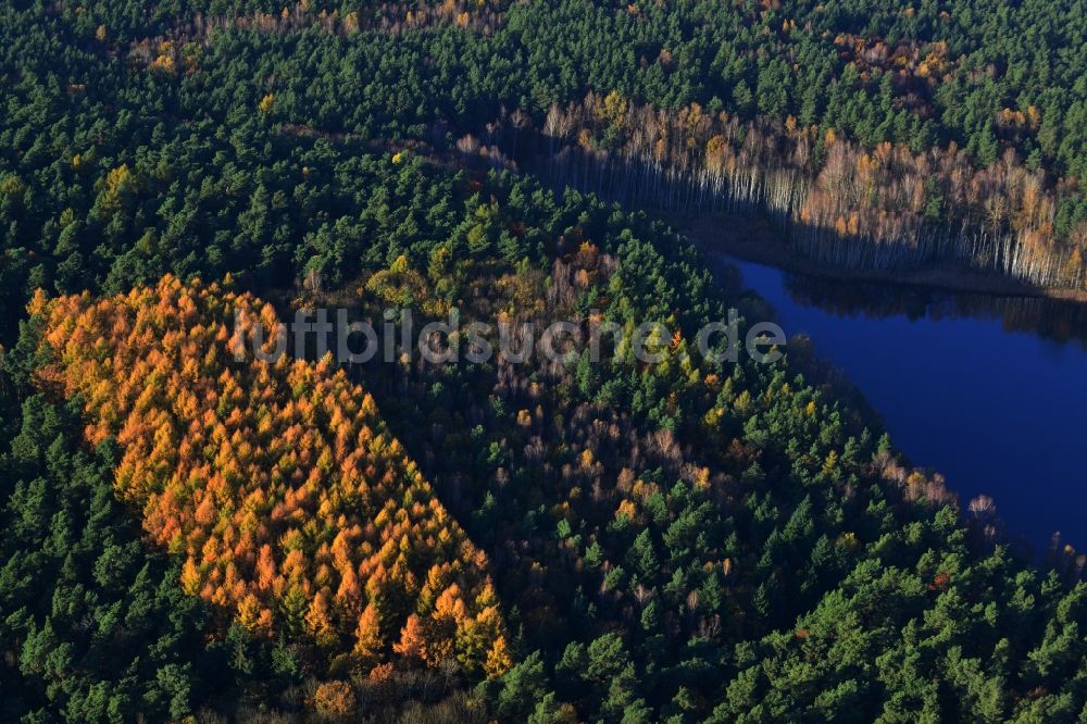 Löwenberger Land aus der Vogelperspektive: Kleiner Lankesee in Löwenberger Land im Bundesland Brandenburg